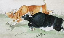 老人常说，这3个生肖的孩子含着“金汤匙”出生，孝顺懂事有出息！