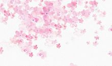 2020年2月生肖属马人的事业运，受冲太岁的影响，略显降温