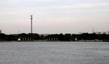 真是南陵的风水宝地，白天鹅大雁都飞来了！