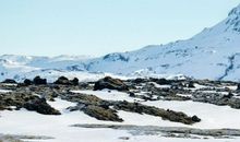 宋韶光2020年生肖属蛇每月运程，二月多劳多得，七月贵人爱人齐遇