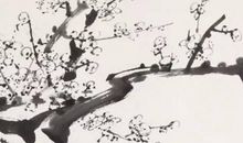 2020年5月14号四月二十二生的女孩是什么命，起什么名字新颖