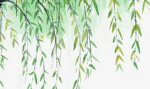 2020庚子年农历十一月十八出生的男孩怎么起名字，宜用什么字