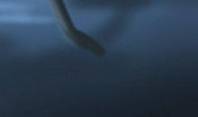 生命线断开的人葫芦摆放在哪好