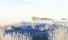 脚面长痣代表什么 又有什么含义呢(图文)