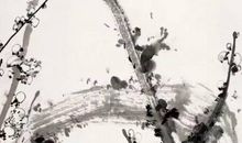 2020年5月11号四月十九生的女孩是什么命，起什么名字涵义好