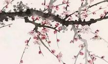 女孩取名：2020年11月24号出生的女孩起什么名字文雅