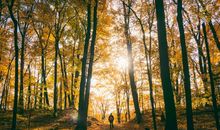 对父母孝顺，对妻子宠爱万分，能扛起责任，特别有安全感的属相男