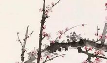 2020年11月21号出生的女孩参考四书五经取名字