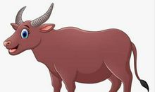 2020年7月生肖属牛运势，本月为属牛人幸运月，能够带来好运势