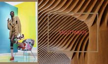 《星星说》（3.30—4.5）射手座：情感关系不能只是为了物质保障