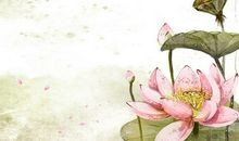 生肖属马和生肖属马的婚配好不好，可以结婚吗