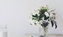 哪些星座男的爱情规则是最麻烦