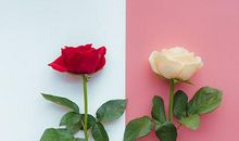 距离脱单，四大血型人还缺些啥？