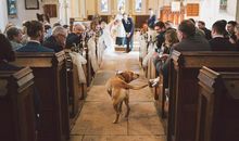 Pandora占星小巫一周塔罗运势（12.16-12.22）