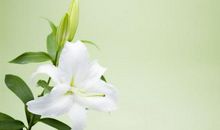 喜从天降，3月财运蹭蹭涨，升官发财，中奖百万的三大生肖