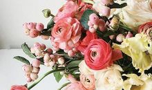 嫌弃爱情很麻烦又埋怨单身很dry的星座