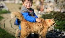 姓欧的男孩名字