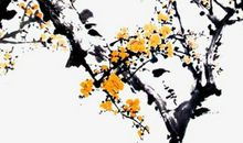 2020年农历十一月初五出生的女孩起什么名字有寓意，五行属什么