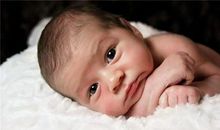 姓杨的男孩名字大全