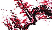 2020年农历十一月初八出生的女孩起名宜用什么字，五行八字是什么