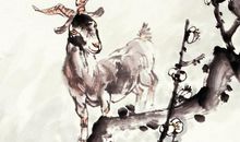 3生肖天生是“受欢迎”体质，走到哪都有人帮，不难找到好对象