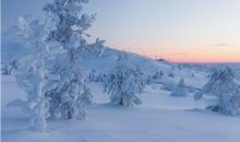 冬至前后，12生肖运势分析及提醒