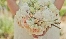 12星座女人谁最会经营婚姻