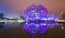 贤惠爱洁净，能把家中清理得层次井然的生肖女