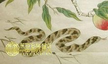 和蛇相配的属相