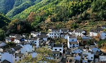 2020年12生肖【男命篇】好运集锦