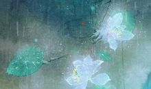 2019年12月17号出生的男孩命运解析，起名宜用什么字