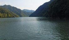 坠入爱河就会迷失方向，不知道东南西北的生肖女