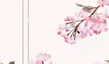 2020鼠年４月生肖属鼠人财运如何，稳定不缺钱