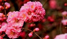 财神爷恩宠，贵人相帮，3月份，横财大赚，财富不断的3生肖