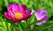 8月29号起，阴历这3个月出生的人，后半生“命好福大”