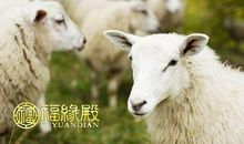 属羊与属马的姻缘如何