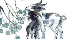 选老公就得选这三个生肖，不仅会赚钱，还很疼老婆