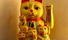 2月-28号喜笑颜开，事业爱情全有，赚得盆满钵满的5生肖