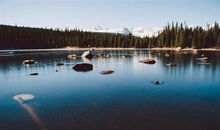 杨清华一周生肖运势（2.24-3.1）