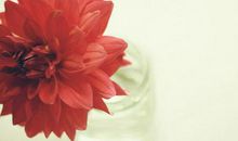 浅说星座之跨越生死的爱恋