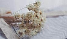 睡觉前习惯想想事情星座