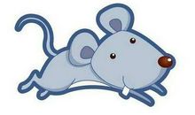 属鼠人2020年本命年戴什么吉祥物好？可以戴貔貅吗