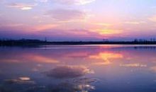 1935和1995年出生的乙亥年生山头火命，过往之猪