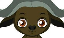 1961年属牛的人2021年运势 本命年61岁佩戴什么吉祥物好