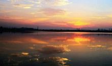 乙亥年生山头火命财运好吗？女性偏财运很好