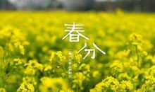 春分节气出生的属蛇人命运好不好 属蛇春分出生是什么命？(图文)