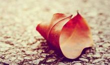 2020年运势最倒霉的属相，这几个生肖运势最差