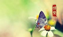 属牛的人惊蛰节气出生是什么命 命格好不好？(图文)