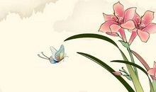 2020年出生的鼠宝宝怎么取名，鼠喜欢披彩衣，华而其身