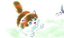 2019年是极佳生育时机的生肖